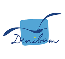 Logo Fondation Denibam